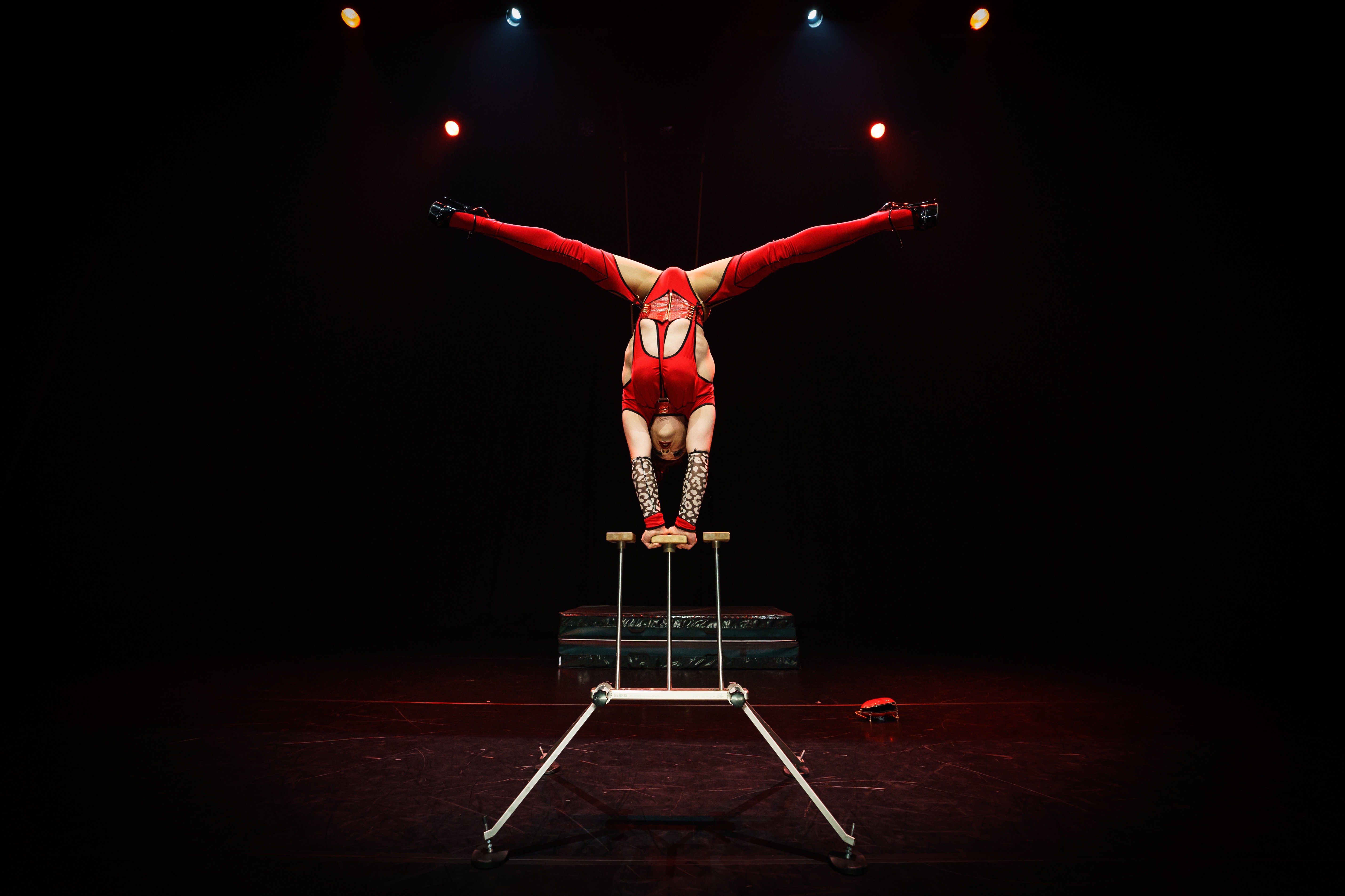 Feb18&19 DL The Great Catch F Sjoerd Derine PF